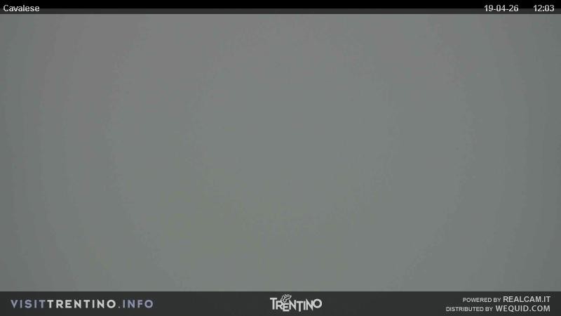 Archiv Foto Webcam Val di Fiemme, Olympiapiste