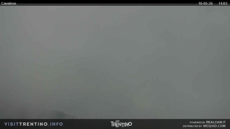 Archiv Foto Webcam Val di Fiemme, Olympiapiste