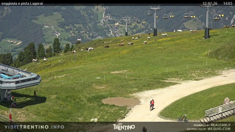 Archiv Foto Webcam Val di Fiemme Cavalese