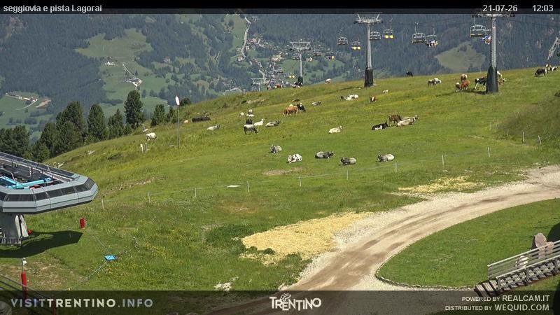 Archiv Foto Webcam Val di Fiemme Cavalese