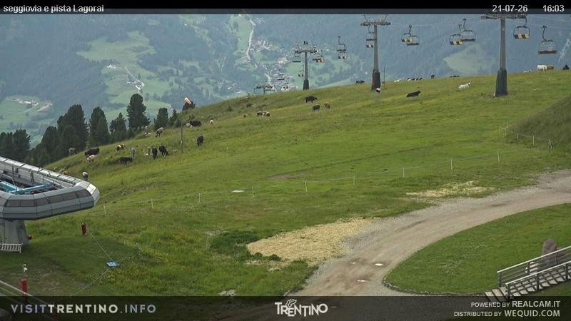 Archiv Foto Webcam Val di Fiemme Cavalese