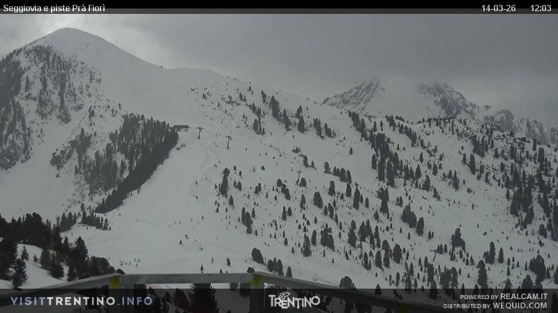 Archived image Webcam Val di Fiemme, Prà Fiorì