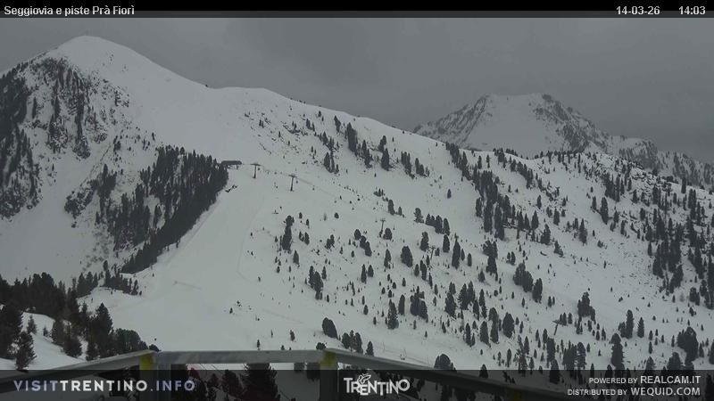 Archived image Webcam Val di Fiemme, Prà Fiorì