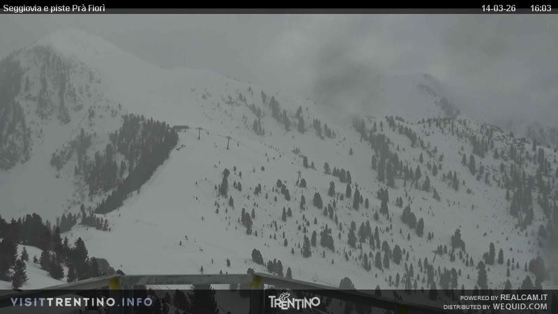 Archived image Webcam Val di Fiemme, Prà Fiorì