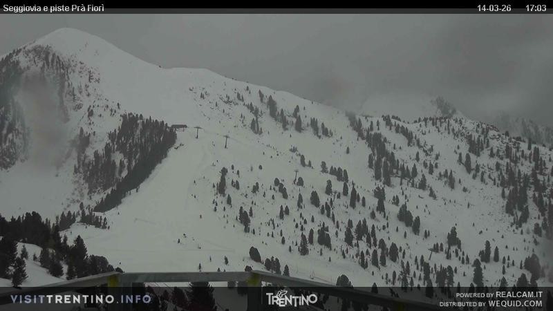Archived image Webcam Val di Fiemme, Prà Fiorì