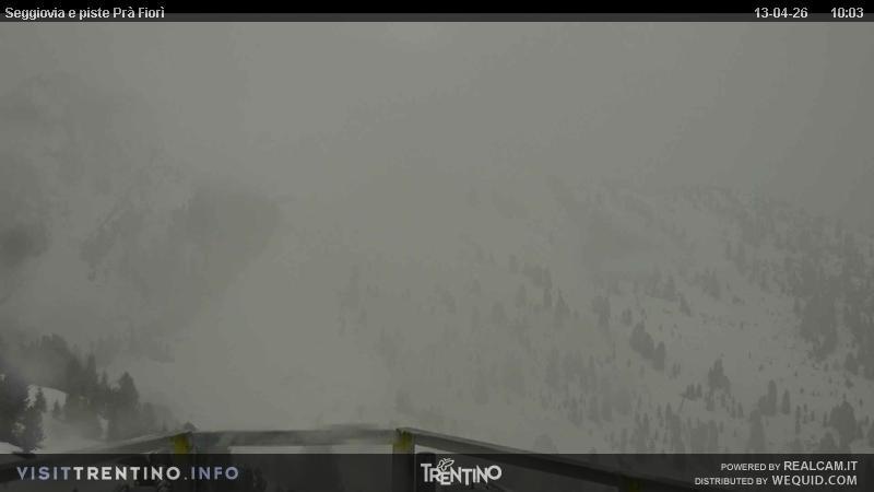 Archived image Webcam Val di Fiemme, Prà Fiorì