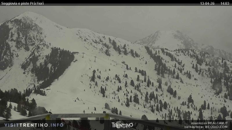 Archived image Webcam Val di Fiemme, Prà Fiorì
