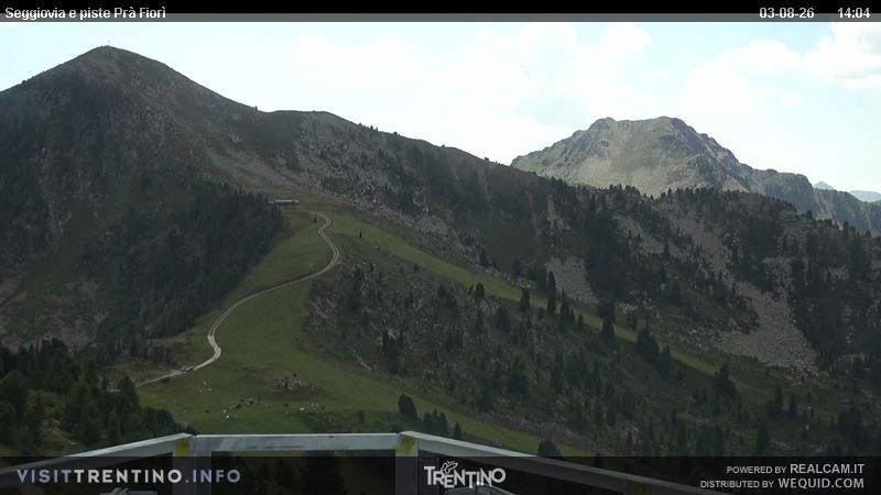 Archived image Webcam Val di Fiemme, Prà Fiorì