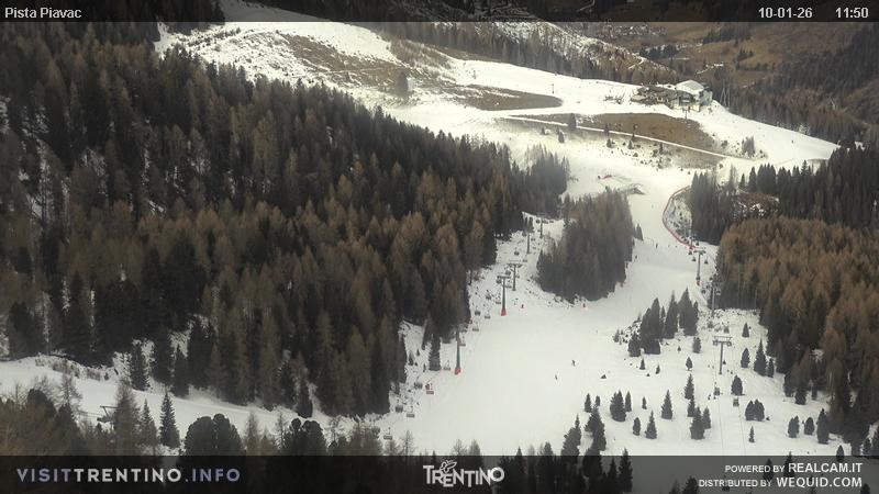 Archived image Webcam Piavac slope at Val di Fassa
