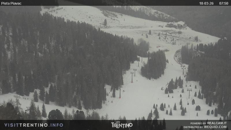 Archived image Webcam Piavac slope at Val di Fassa