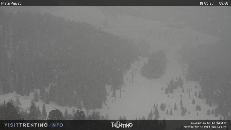 Archived image Webcam Piavac slope at Val di Fassa