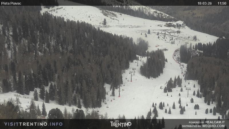 Archived image Webcam Piavac slope at Val di Fassa