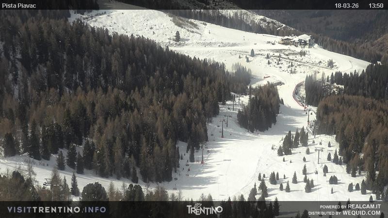 Archived image Webcam Piavac slope at Val di Fassa