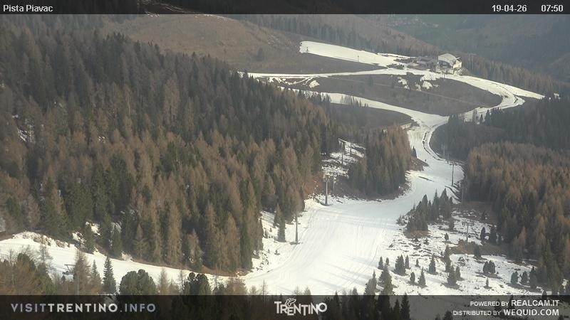 Archived image Webcam Piavac slope at Val di Fassa