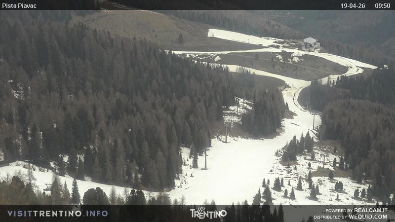 Archived image Webcam Piavac slope at Val di Fassa