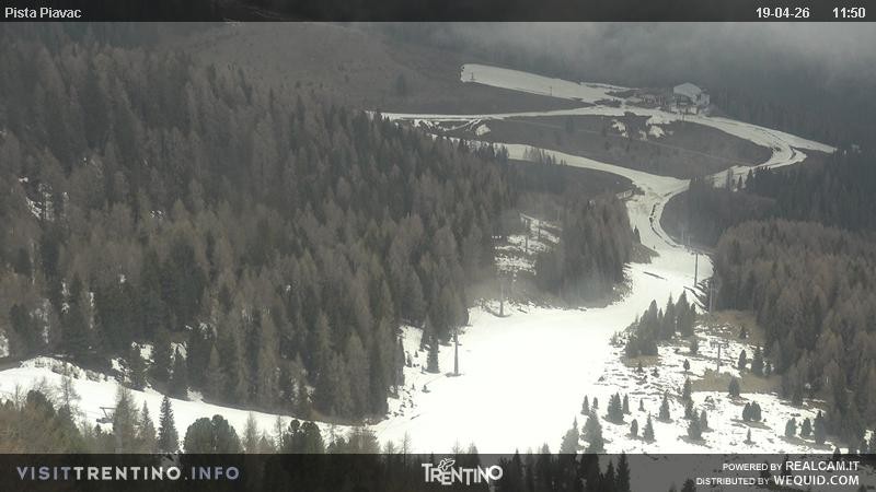 Archived image Webcam Piavac slope at Val di Fassa