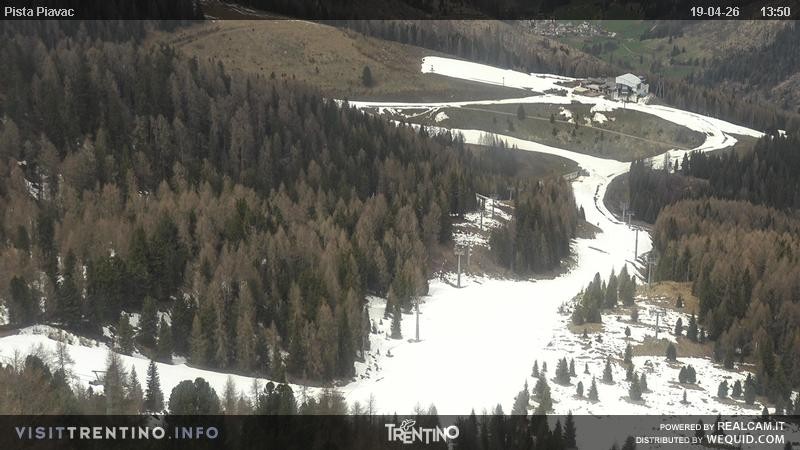 Archived image Webcam Piavac slope at Val di Fassa
