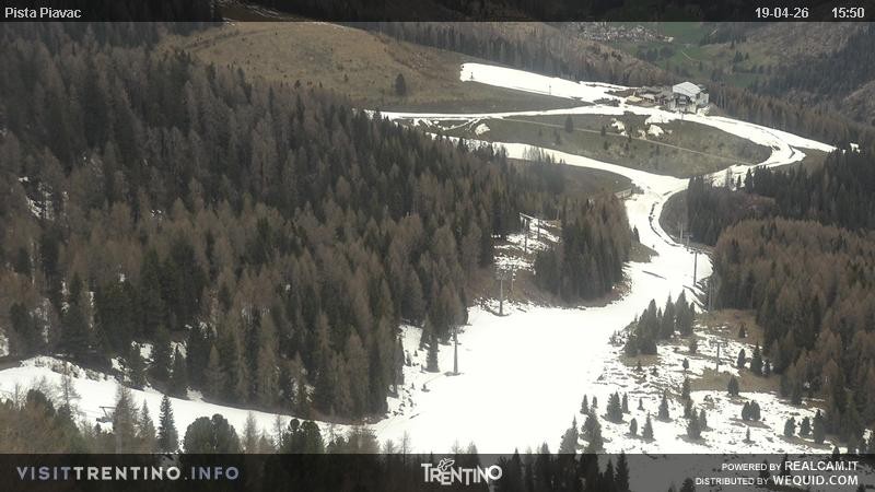 Archived image Webcam Piavac slope at Val di Fassa
