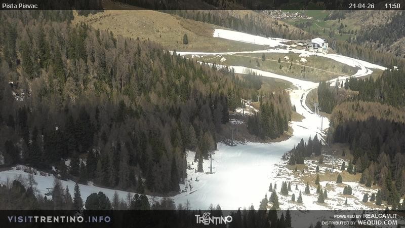 Archived image Webcam Piavac slope at Val di Fassa