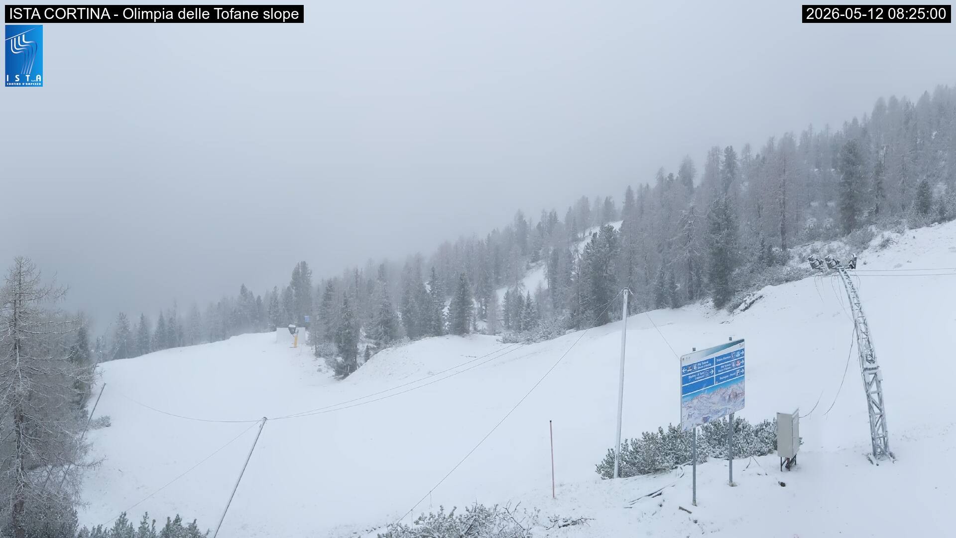 Archiv Foto Webcam Duca d'Aosta in Cortina