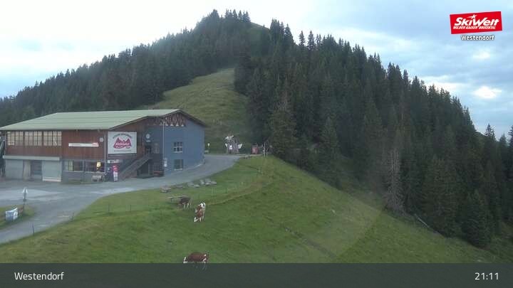Archiv Foto Webcam Bergrestaurant Talkaser - Westendorf