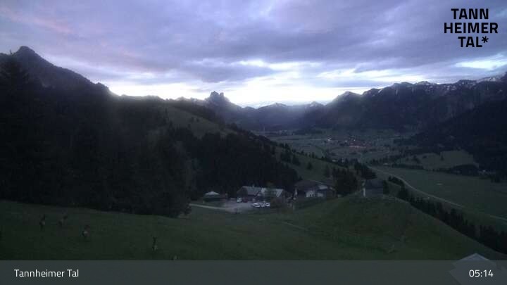 Archiv Foto Webcam Obere Halde - Zöblen / Tannheimer Tal