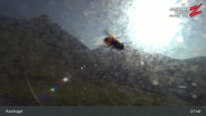 Archiv Foto Webcam Rastkogel, Tuxer Alpen
