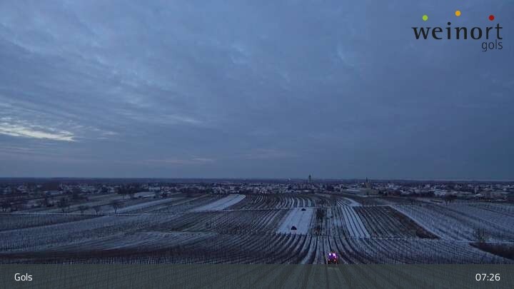 Archiv Foto Webcam Weinort Gols