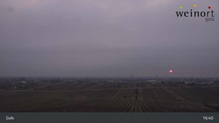 Archiv Foto Webcam Weinort Gols