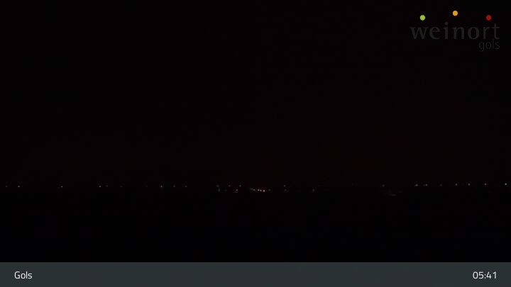 Archiv Foto Webcam Weinort Gols