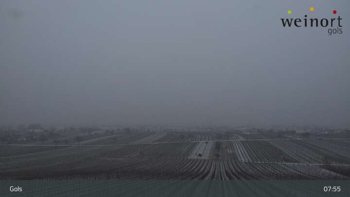 Archiv Foto Webcam Weinort Gols