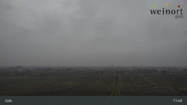 Archiv Foto Webcam Weinort Gols