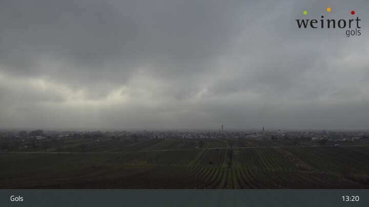 Archiv Foto Webcam Weinort Gols