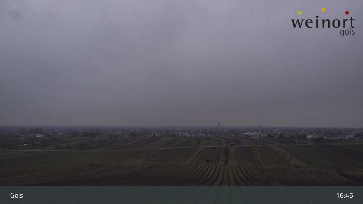 Archiv Foto Webcam Weinort Gols