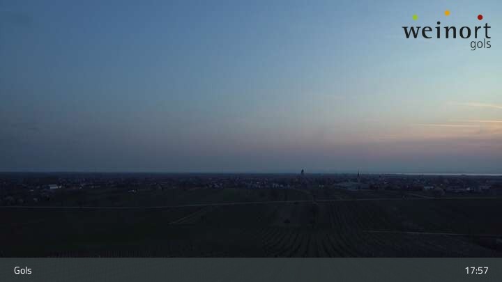 Archiv Foto Webcam Weinort Gols