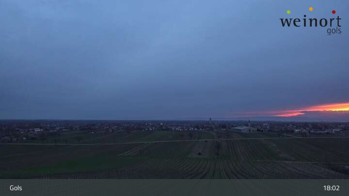 Archiv Foto Webcam Weinort Gols