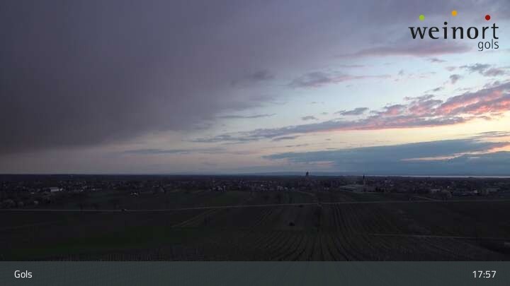 Archiv Foto Webcam Weinort Gols
