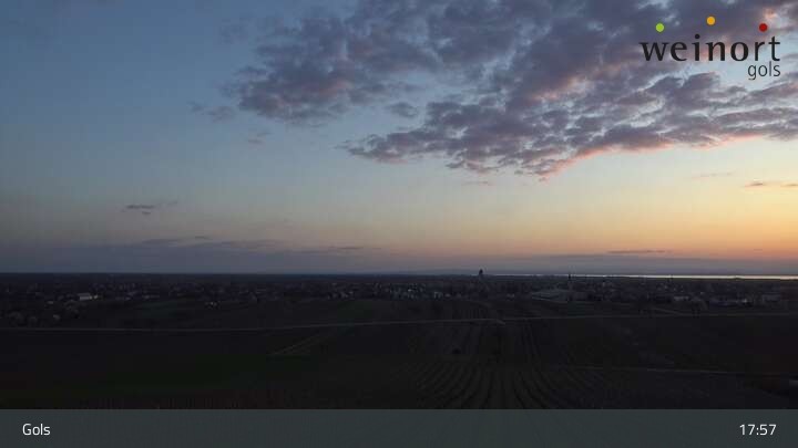 Archiv Foto Webcam Weinort Gols