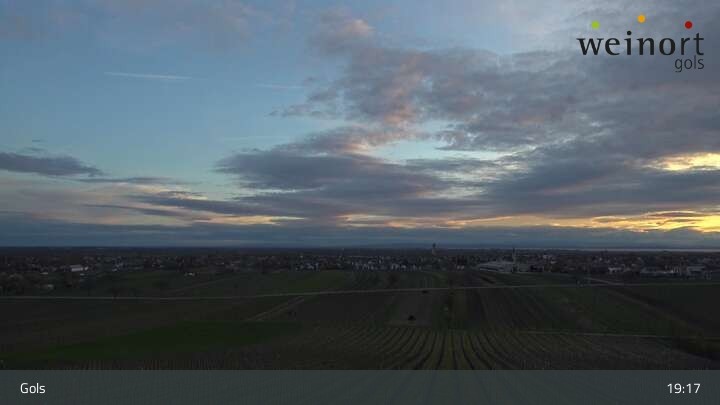 Archiv Foto Webcam Weinort Gols