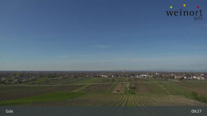 Archiv Foto Webcam Weinort Gols