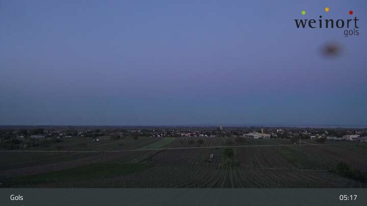 Archiv Foto Webcam Weinort Gols