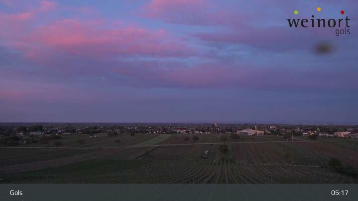 Archiv Foto Webcam Weinort Gols