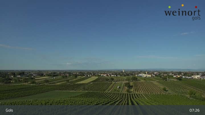 Archiv Foto Webcam Weinort Gols
