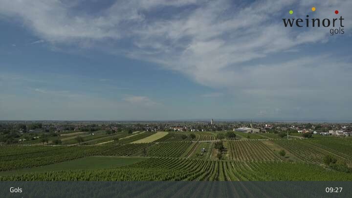 Archiv Foto Webcam Weinort Gols