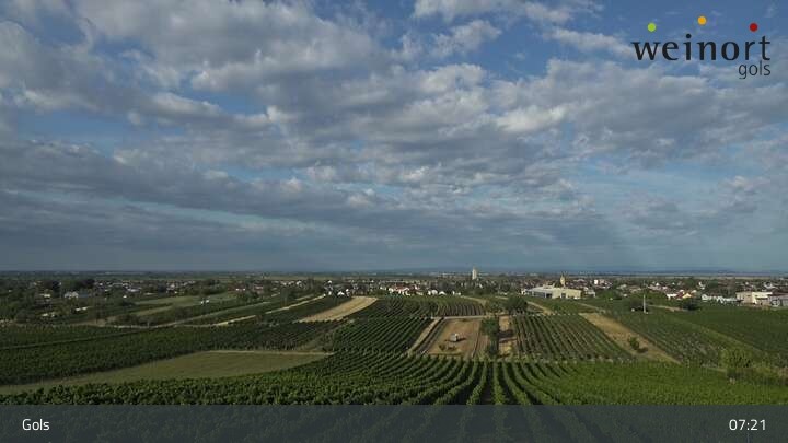 Archived image Webcam Gols - Wine Town