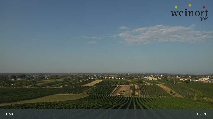 Archiv Foto Webcam Weinort Gols