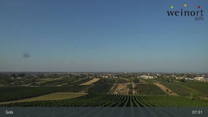 Archiv Foto Webcam Weinort Gols