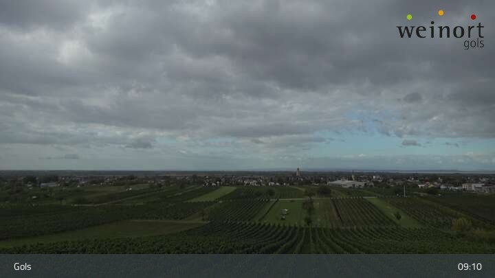 Archiv Foto Webcam Weinort Gols