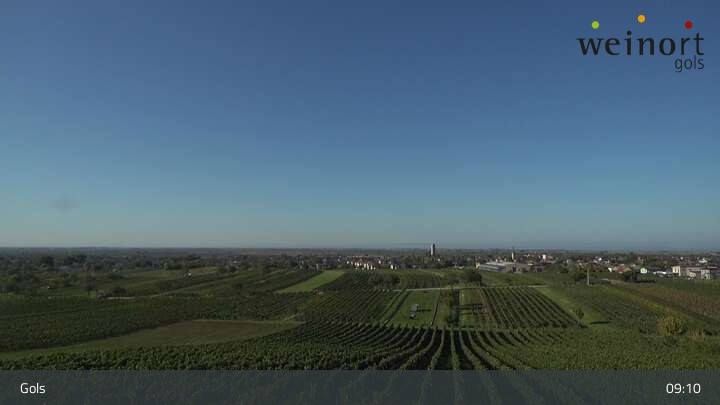 Archiv Foto Webcam Weinort Gols