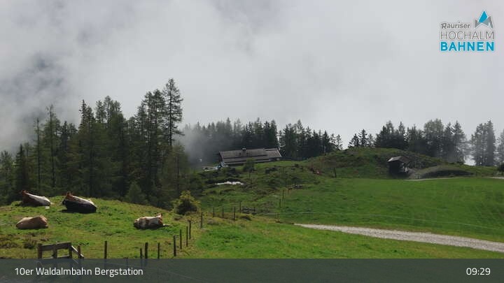 Archiv Foto Webcam Waldalmbahn Bergstation (Rauris)